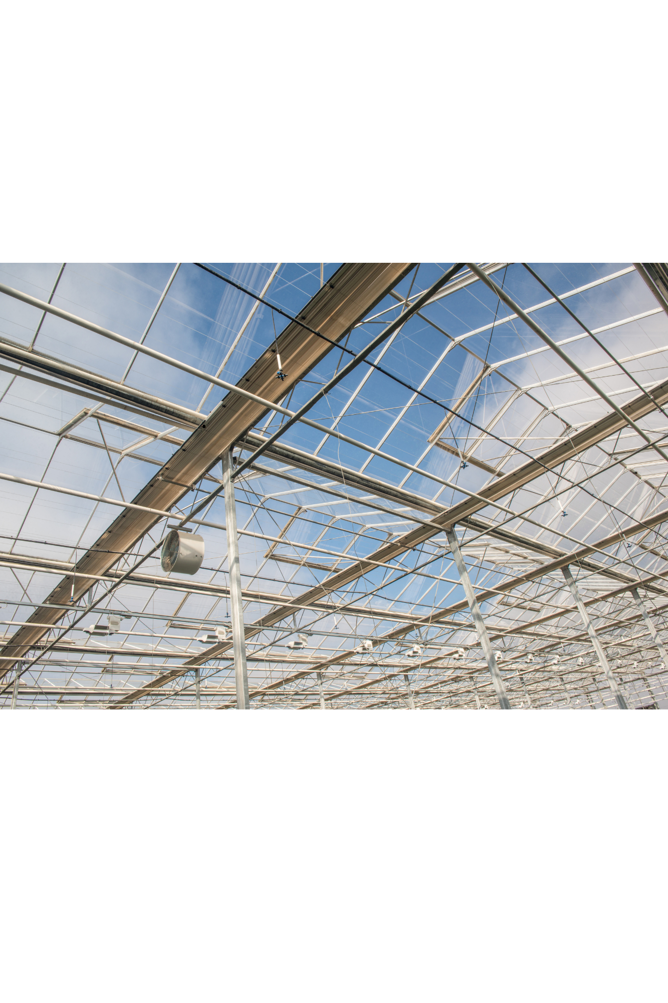 Agro-business